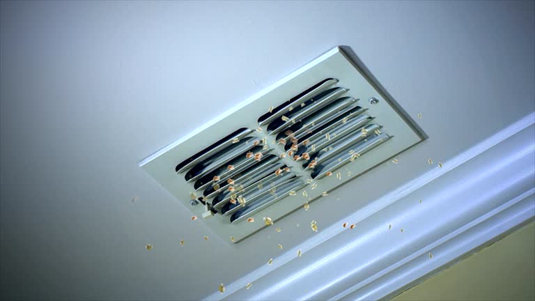 Best Best Air Duct Cleaning Near Me  in Welcome, NC