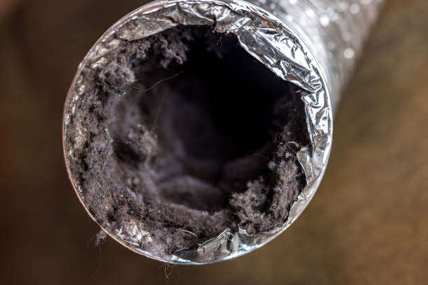 Best Ventilation Cleaning Services  in Welcome, NC
